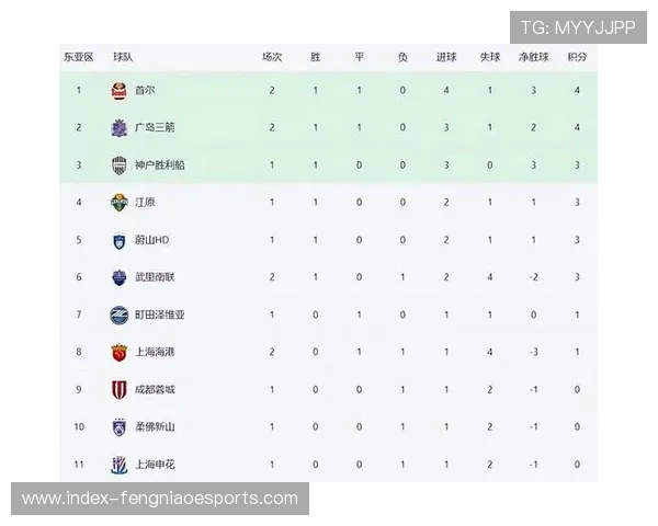 亚冠：中超球队赛季总结，外战表现与国内联赛反差明显